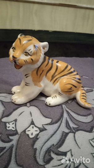 Тигренок Вербилки