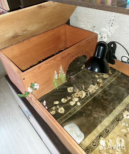 Террариум для сухопутной черепахи