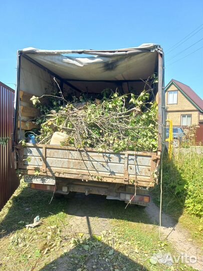 Покос травы триммером