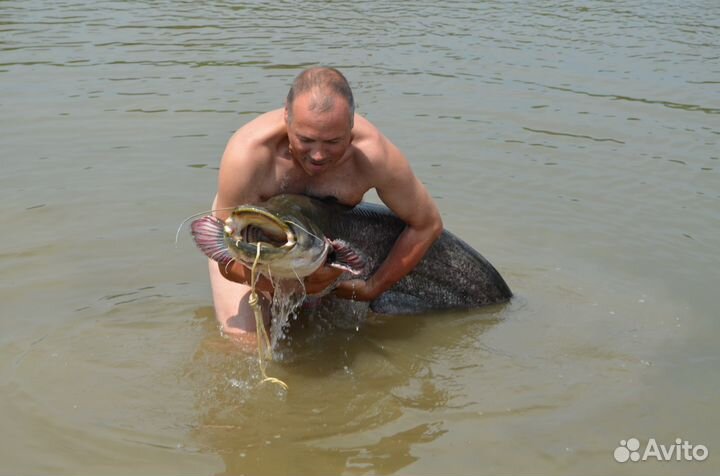 Рыбалка в Астрахани