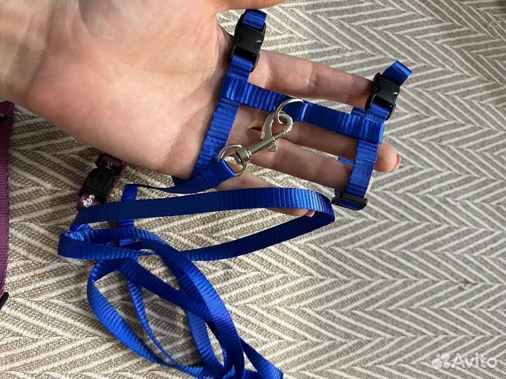 Шлейка для маленькой собаки