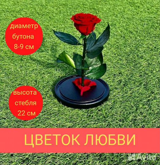 Вечная роза в колбе,роза в стекле,живая роза.Опт
