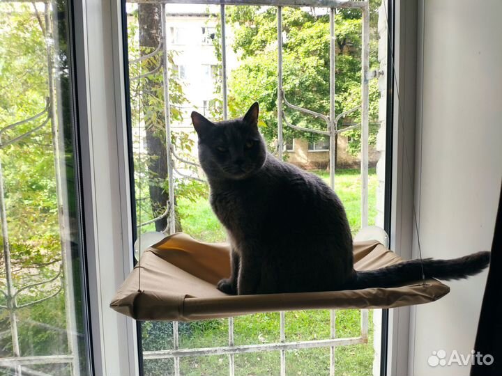 Гамак для кота на окно