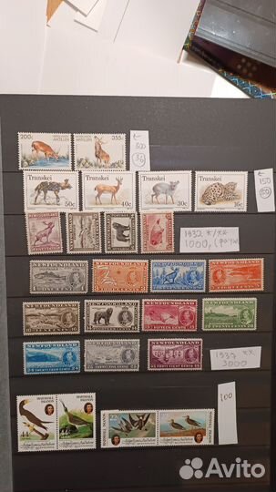 Марки фауна