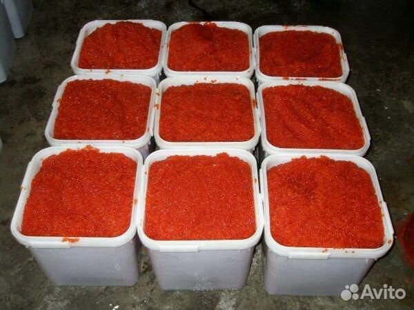 Красная икра Кижуч