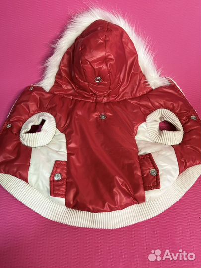 Одежда для собак мелких пород мальчик