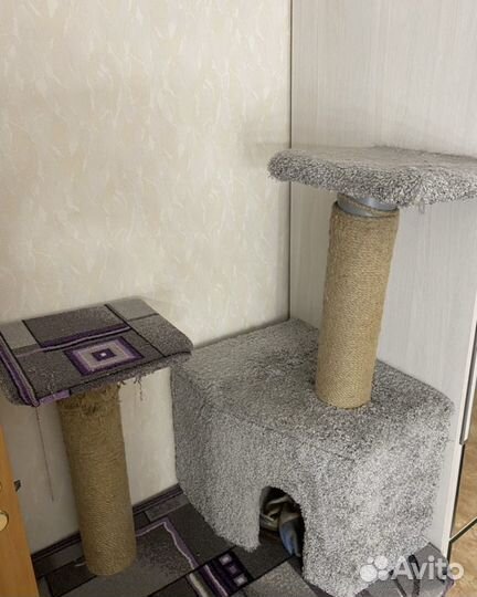 Домик для кошки бу