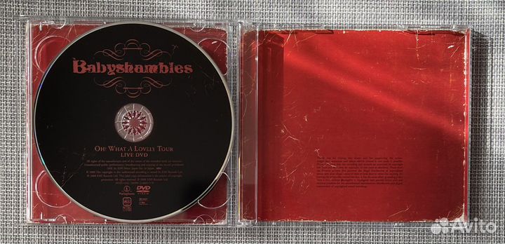 Babyshambles-Oh What A Lovely Tour Japan DVD+CD