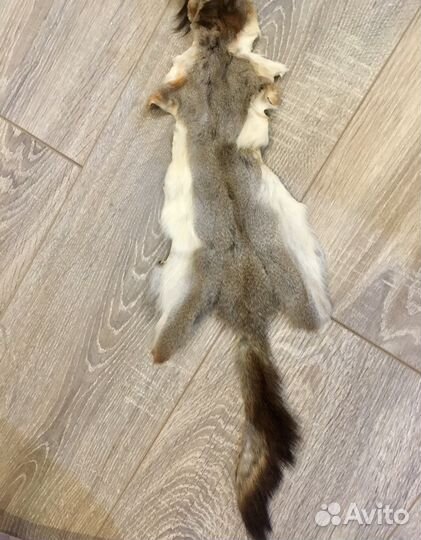 Шкурки белки