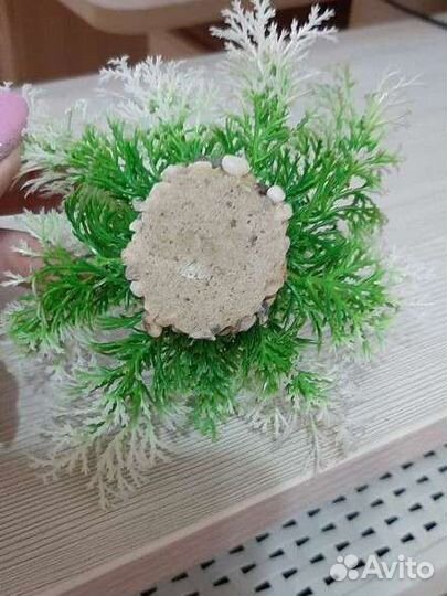 Искусственные водоросли и грунт