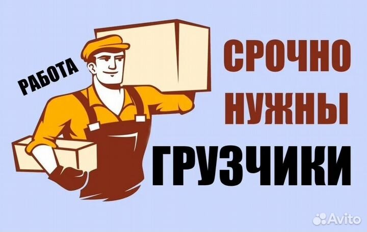 Грузчик еженедельная оплата