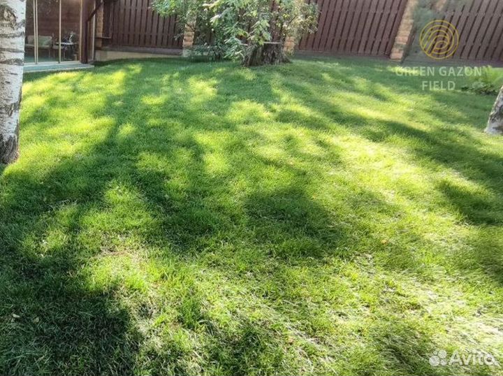 Полевой газон 