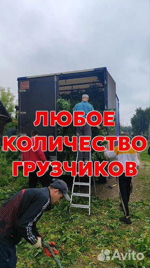 Вывоз строительного мусора мебели контейнер