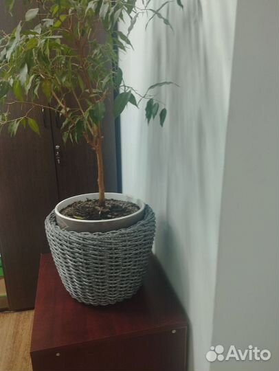 Кашпо из ротанга 12 литров