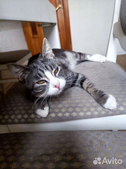 Великолепный нос