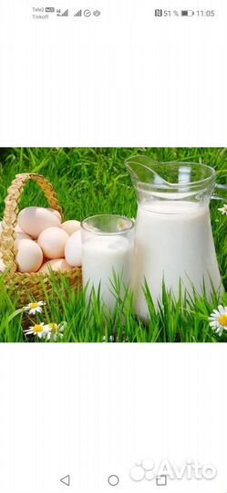 Козье молоко