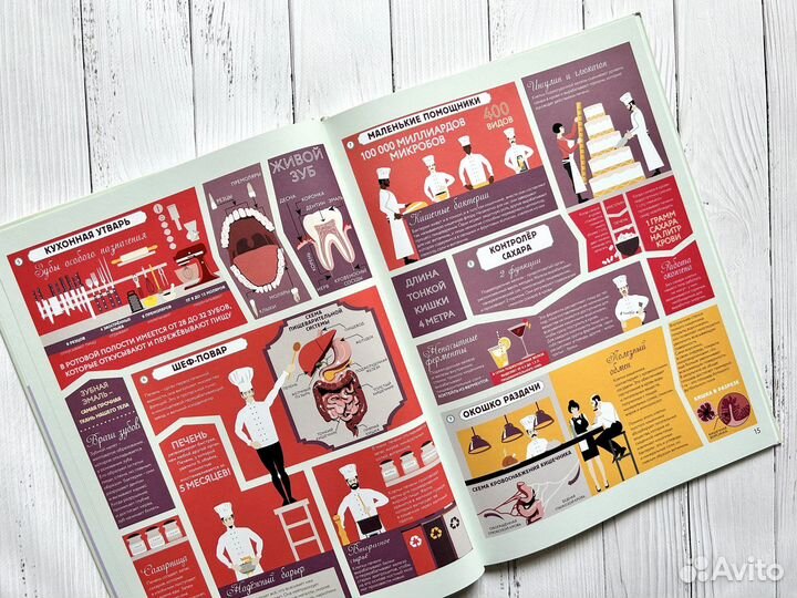 Анатомия. Картография человеческого тела