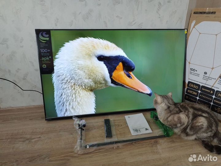 Телевизор новый SMART TV sber 50