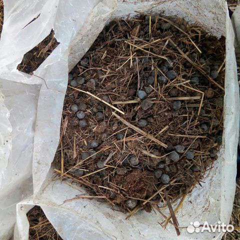 Козий навоз