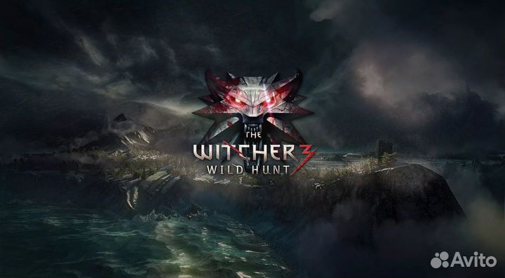 The witcher 3