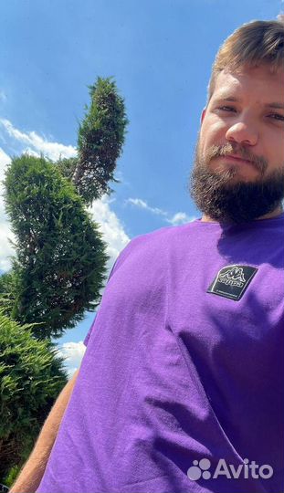 Можжевельник казацкий голубой