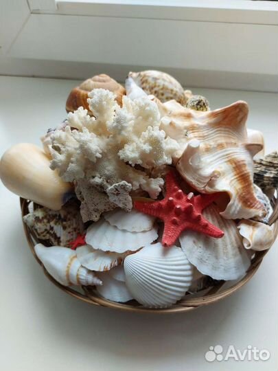 Набор и большая раковина