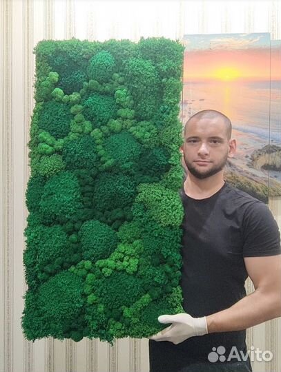 Яркие сочные эко панели из мха 25х50см