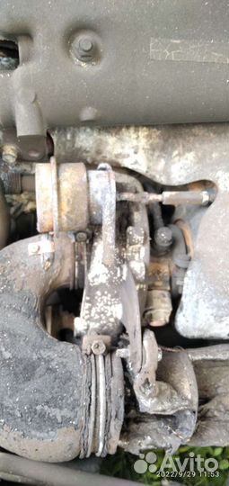 Бонго фрэнди