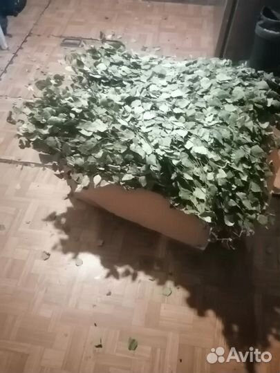 Березовые веники