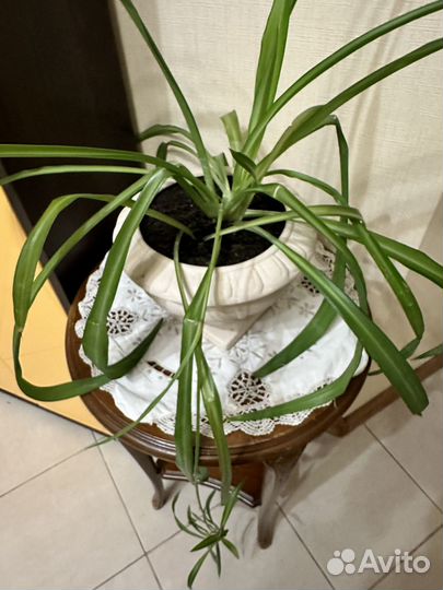 Салфетка антикварная. Германия. Ручная работа