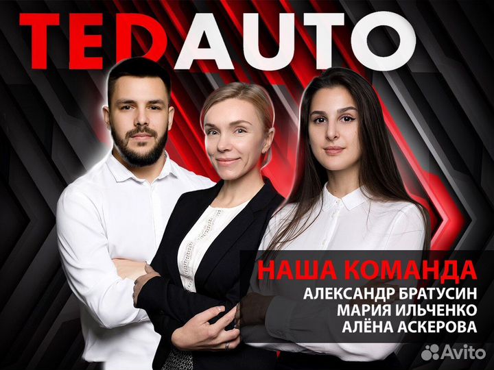 TedAuto2023 Бизнес Б/У запчасти (Доходный)