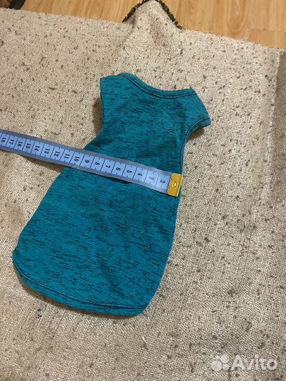 Одежда для кошек