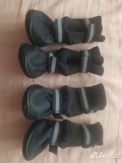 Костюм на собаку