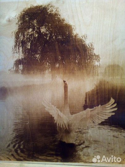 Фото, картины, часы на дереве Ставрополь