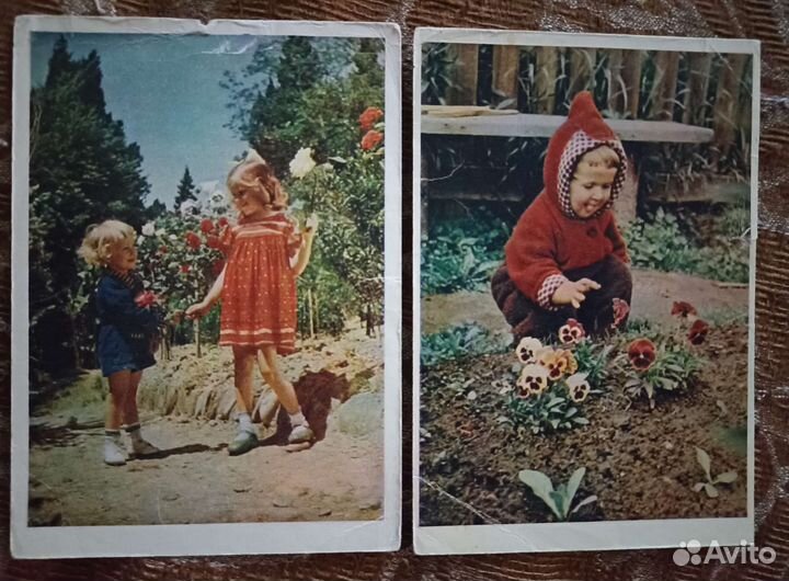 Дети на открытках 1955 - 1958гг