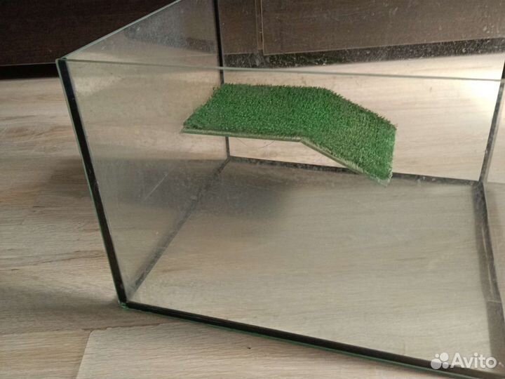 Черепашник