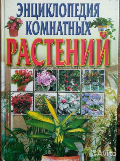 Книги - энциклопедии
