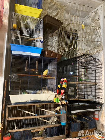 Клетки и переноски