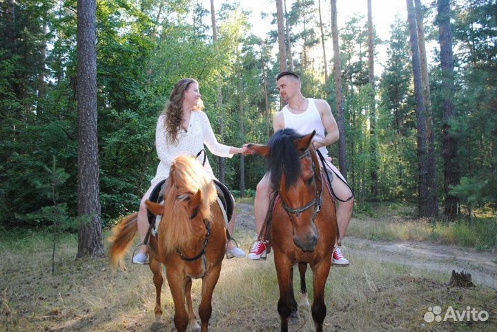 Конные прогулки Одинцово