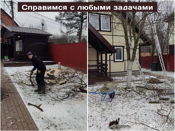 Обрезка плодовых деревьев, формирование деревьев