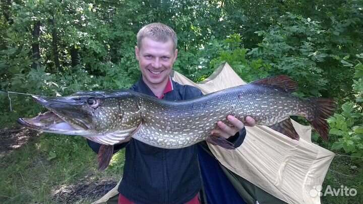Прогулки и рыбалка на катере до 4х человек
