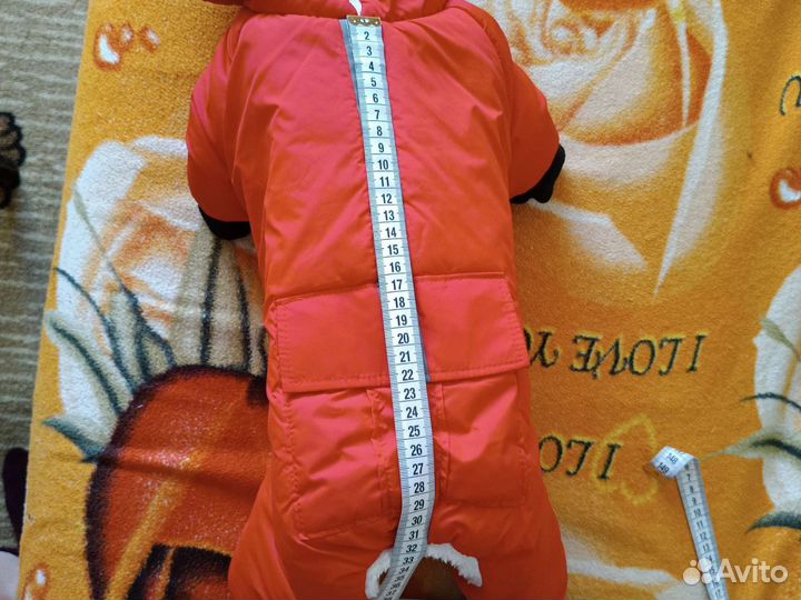 Одежда для собак