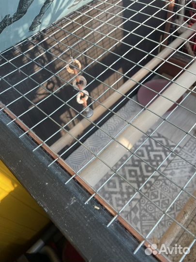 Клетка для крупного попугая или грызуна