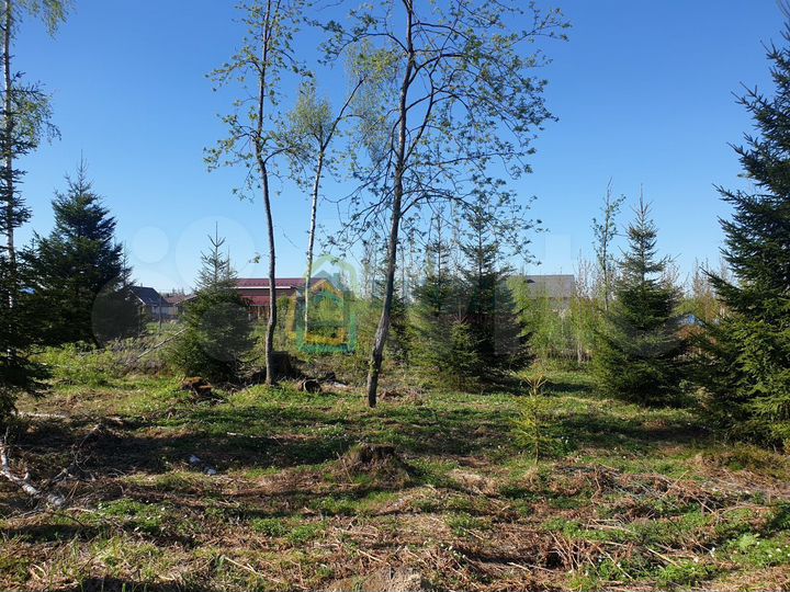 Участок 9,8 сот. (СНТ, ДНП)