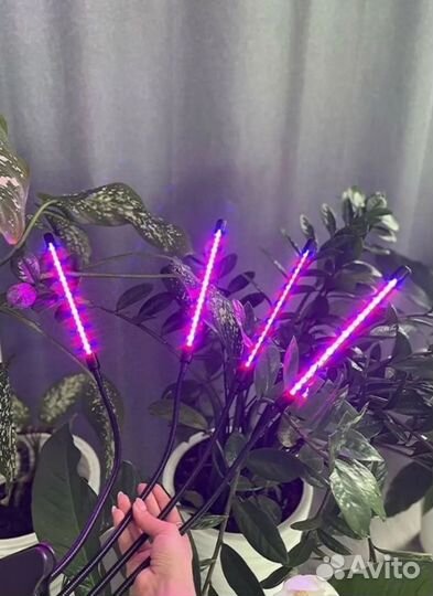 Фито светильник для растений