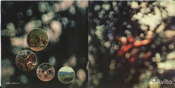 Pink floyd