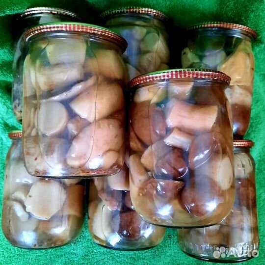 Грибы маринованные подберезовики