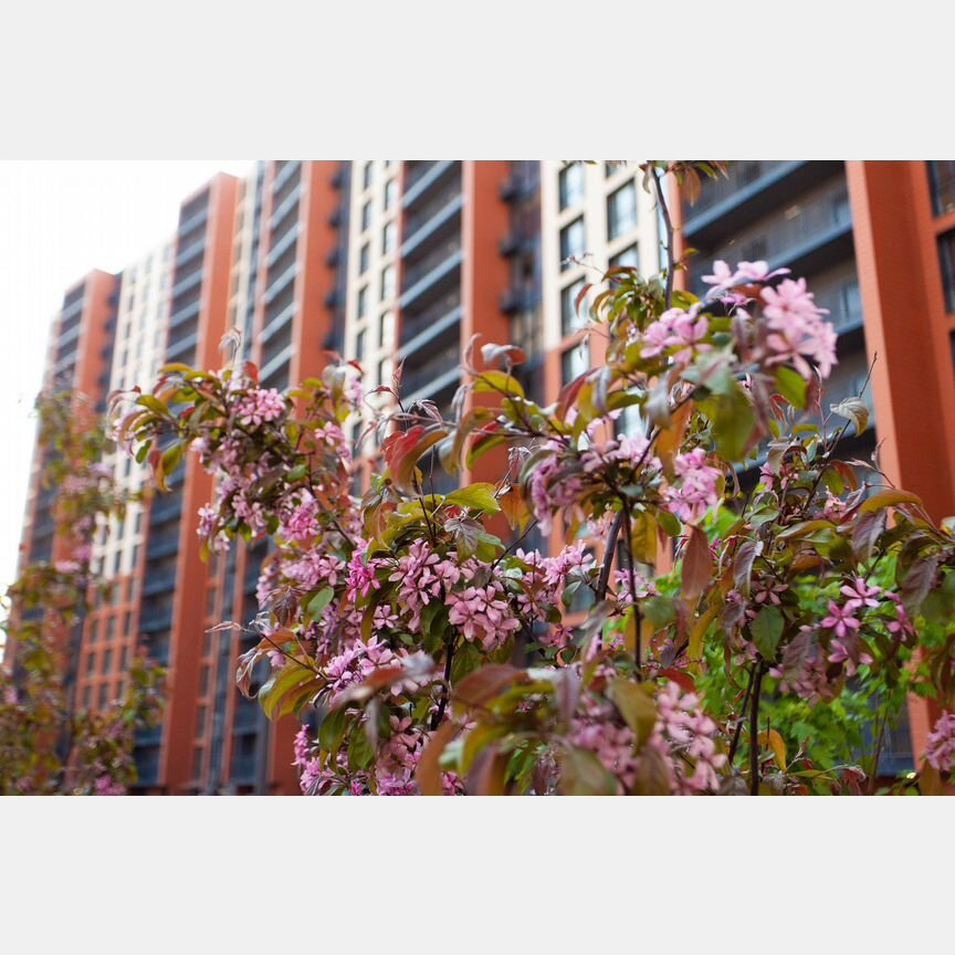 1-к. квартира, 35 м², 18/18 эт.