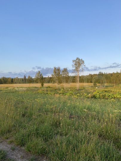 Участок 10 сот. (СНТ, ДНП)