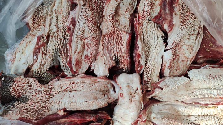 Обрезь корпусная говяжья мясо для собак